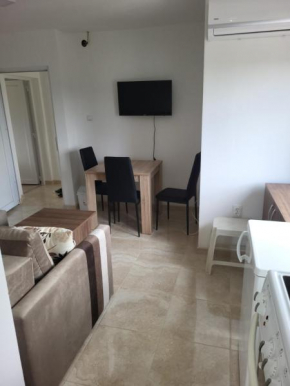 Apartment Pavlović